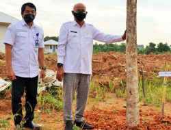 Kembang Sepatu Dea Akan Hiasi Kantor Setda Tapin