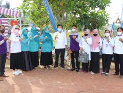Dongkrak Perekonomian Masyarakat Dengan 18 Ekor Kambing