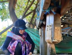 Shafa Kenalkan Wisata Tapin Melalui Profil Puteri Cilik Indonesia