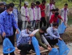 25.000 Bibit Ikan Gabus Dan Betok Di Sebar Dikolam Karang Taruna