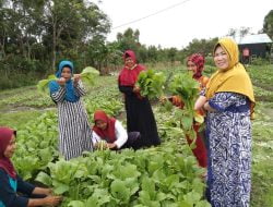 Berawal Hobi Tanam Bunga, Kini Ibu – Ibu Binuang Sukses Tanam Tanaman Produktif