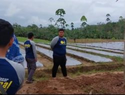 BBPP Kementan Sampaikan Antisipasi El Nino Kepada Petani
