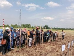 Antisipasi Dampak El Nino, Mentan SYL Minta Kalsel Siapkan 100 Ribu Hektare Lahan
