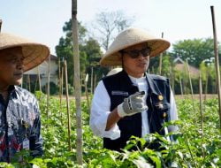 Transformasi Pertanian Modern, Petani Masa Kini Wajib Terapkan Smart Farming