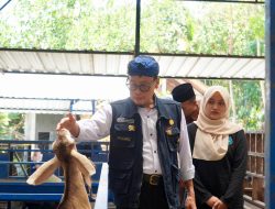 Diversifikasi Produk dan Olahan Kambing Jadi Bukti Keberhasilan P4S Lurisae Purworejo
