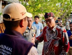 Lihat Ceruk Pasar, Petani Milenial Ini Tangkap Peluang Dari Ayam Arab