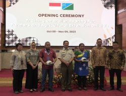 Kementan Latih Peternak Dan Penyuluh Negara Kepulauan Solomon Beternak Ayam Broiler