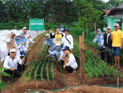 Tingkatkan Produktivitas Pertanian, BBPP Binuang Gunakan Biotron