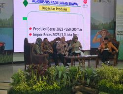 Tingkatkan Produktivitas, Kementan gelar FGD Agribisnis Lahan Rawa Berbasis Pertanian Modern
