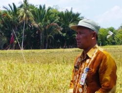 Alokasi Pupuk Subsidi Naik, Petani di Tabalong Ucapkan Terima Kasih Ke Mentan