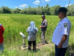 Tingkatkan Produktivitas Pertanian, Kementan Optimalkan Pompanisasi