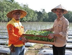 Dukung Pertanian Terpadu PT BRE Berikan Bantuan Sarpras dan Bibit Hortikultura