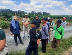 Tak Kenal Waktu Libur, Kabadan PPSDMP Temukan Solusi Perluasan Areal Tanam Di Barito Kuala