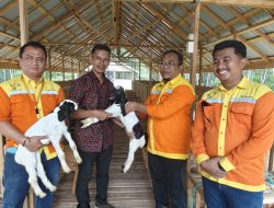 PT BRE Berikan Tujuh Ekor Kambing Untuk Desa Ayunan Papan