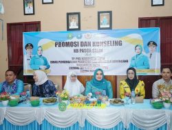 Cegah Stunting, PKK Tapin Gencarkan Edukasi KB Pasca Salin di Banua Halat Kiri