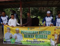 Bupati Tapin Serahkan 5 Ekor Sapi Kurban untuk Masyarakat di Lima Kecamatan