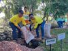 PT BRE Lakukan Aksi Tanam Pohon Produktif Endemik di RTH Pasar Lama