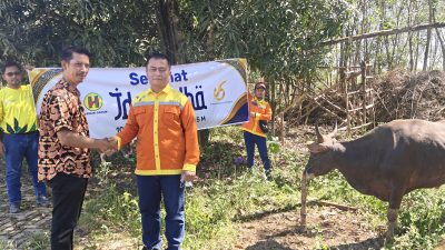 PT BRE Bagikan Puluhan Ekor Sapi Kurban