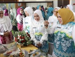Festival Pangan Lokal B2SA Tapin, Kreativitas Peserta Meningkat Signifikan