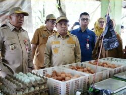 Bupati dan Wabup Tapin Pantau Harga Sembako di Pasar Keraton, Pastikan Stabil Jelang Iduladha